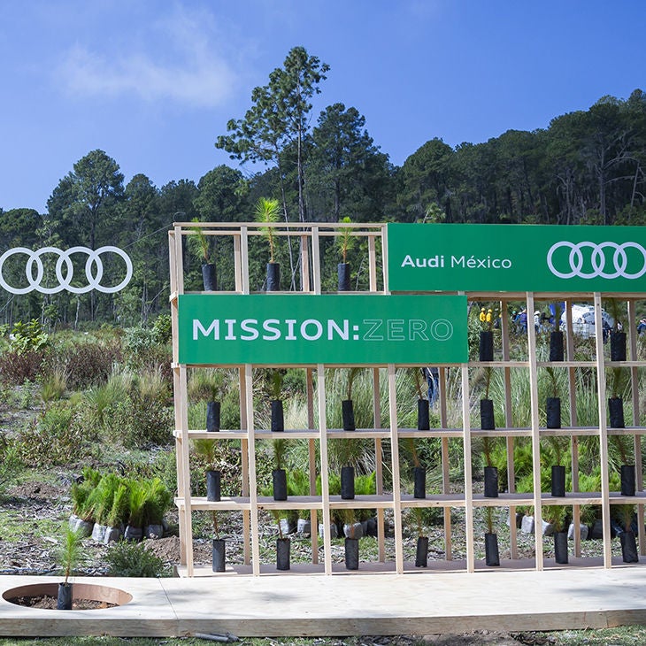 La incorporación de la sustentabilidad