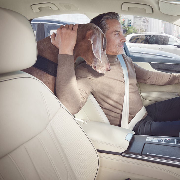 Foto del mantenimiento de la tapicería de cuero en un Servicio Oficial Audi. 