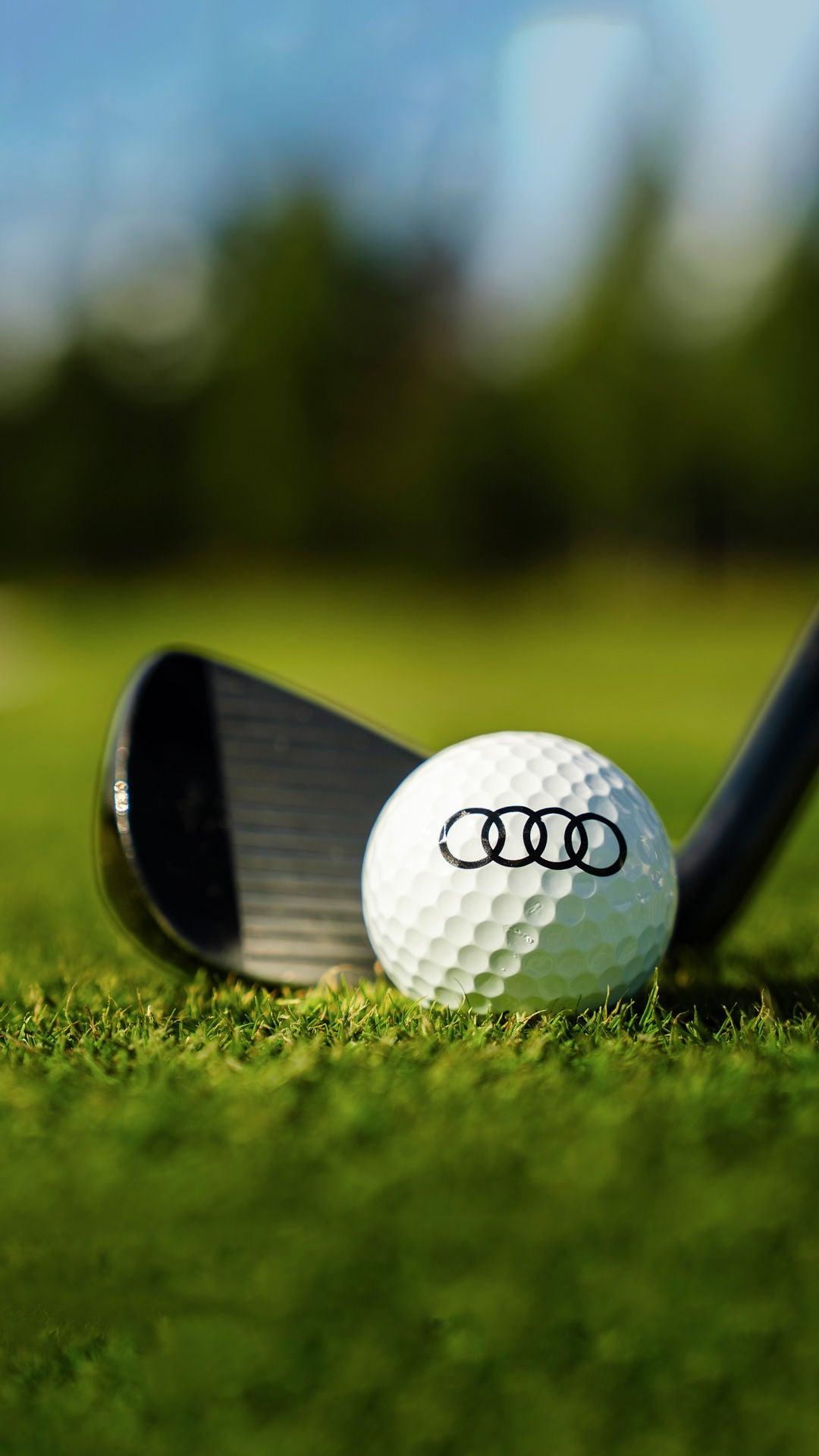 Audi golfedut