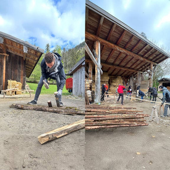 Helfer bearbeiten Holzstämme