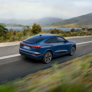 Placeholder alt text