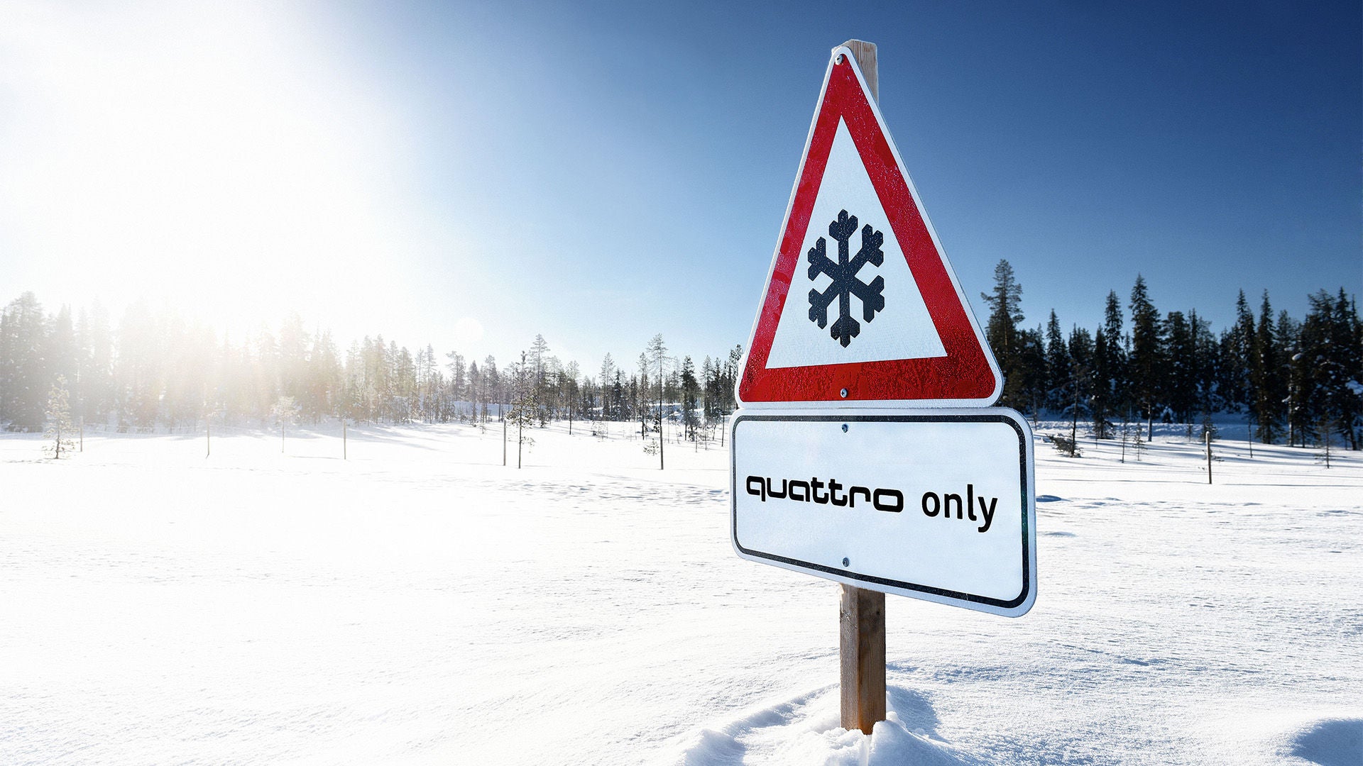 Une véritable expérience à deux ! 