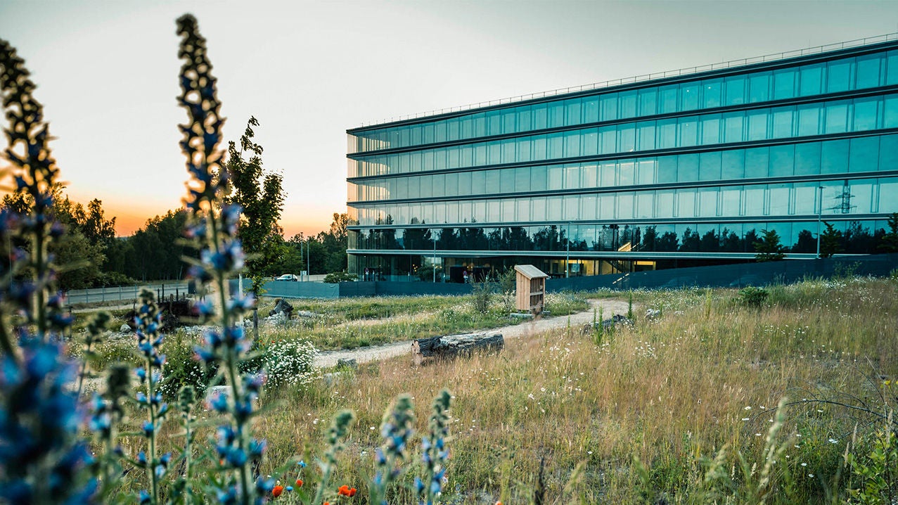 Protecting biodiversity: projects at all Audi locations