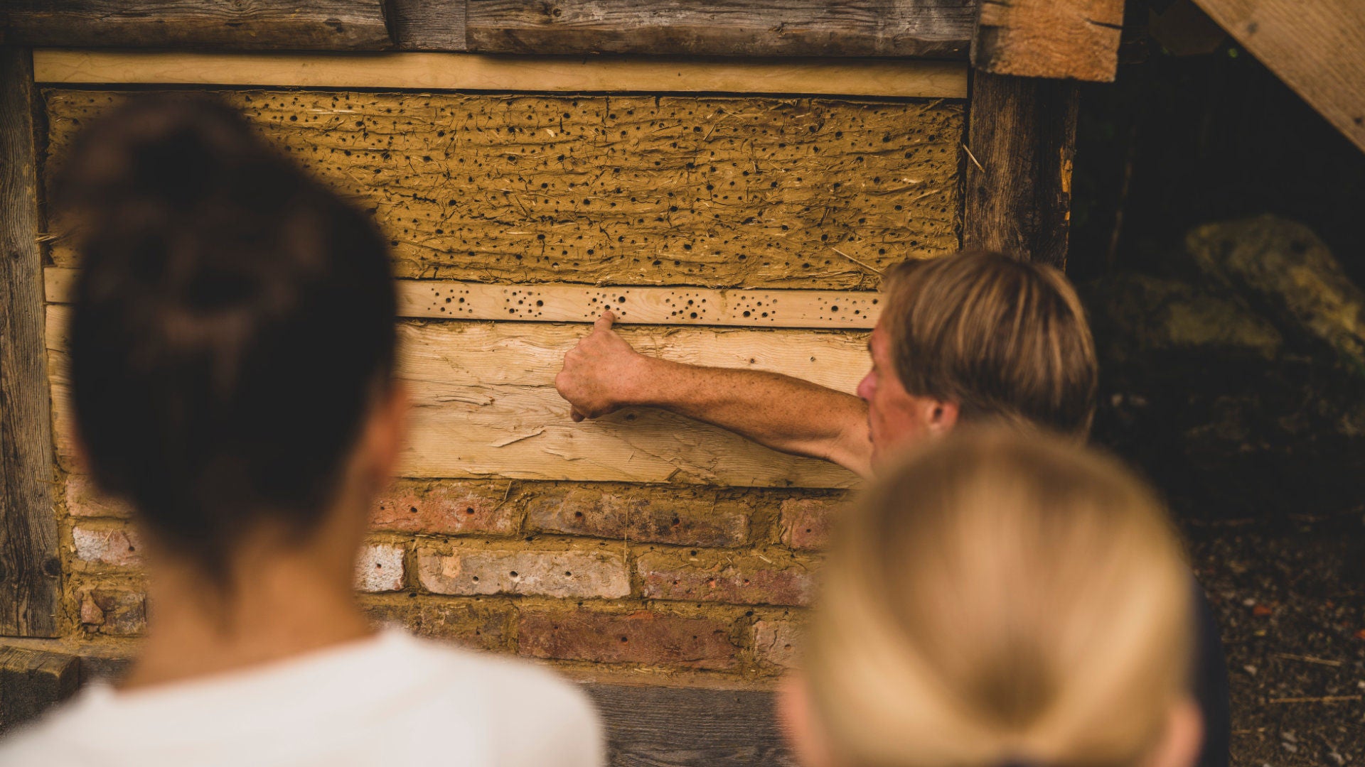 A man explains the beehive