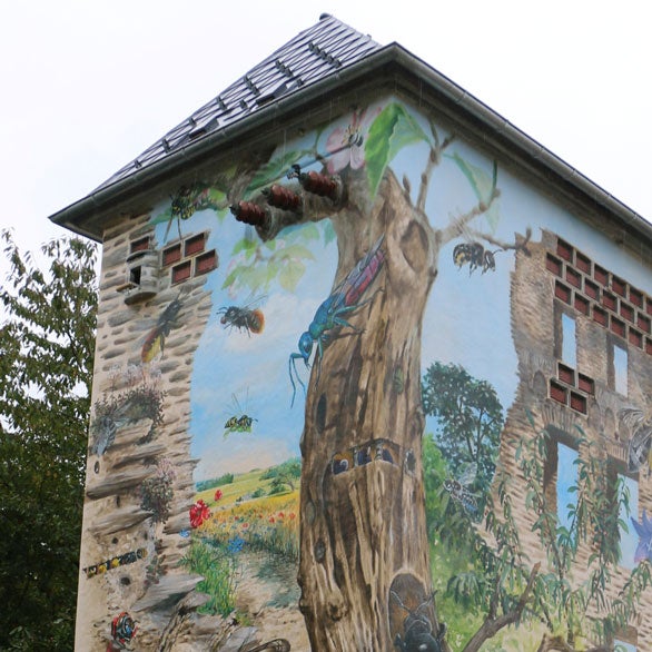 Artenschutzturm in der Burgstadt Kastellaun
