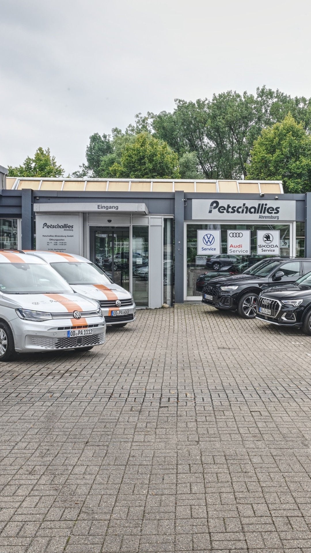 Petschallies Ahrensburg GmbH 