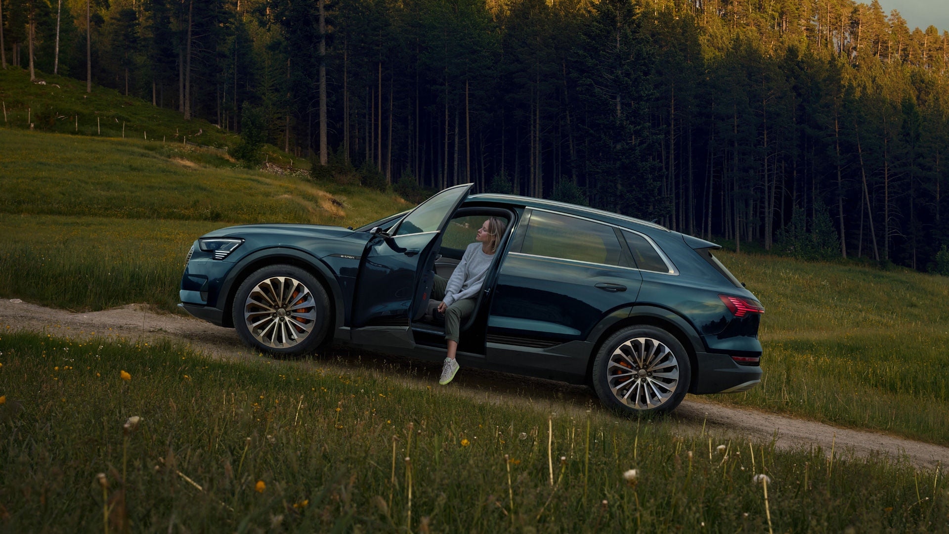 Audi with a woman in the driver's seat is parked on a sloping hillside