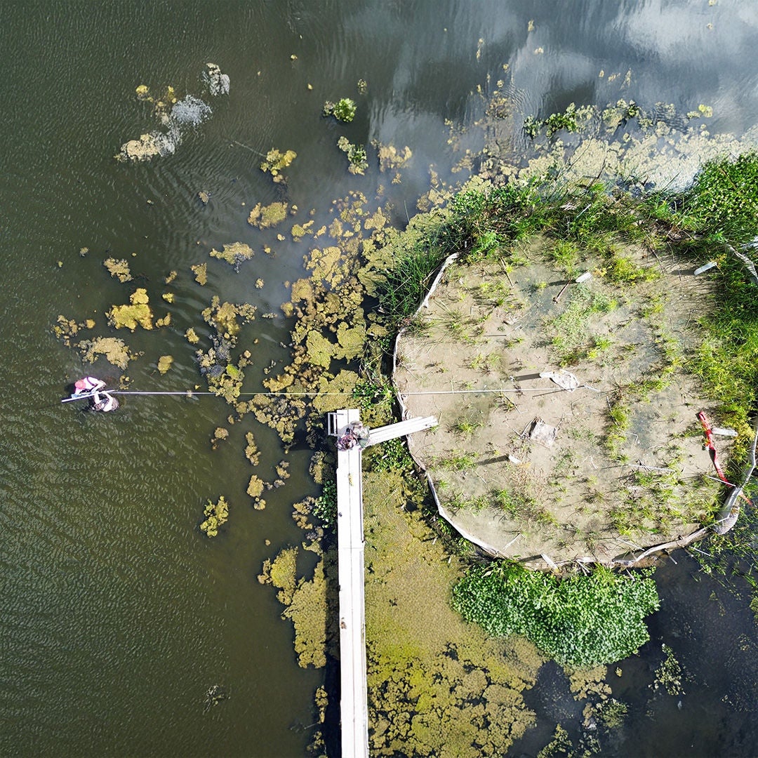 Aerial view of a round planted island in the water with a pier and people working nearby.