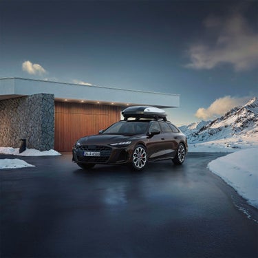 Foto de un baúl portaesquís de Audi.