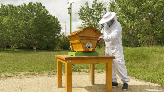 Beekeeper next to a beehive