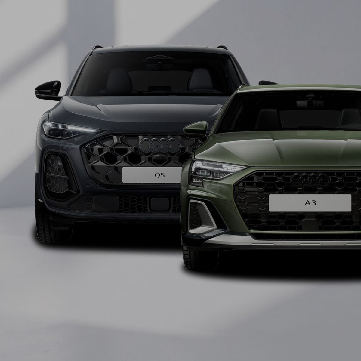 Audi Monthly Exclusives