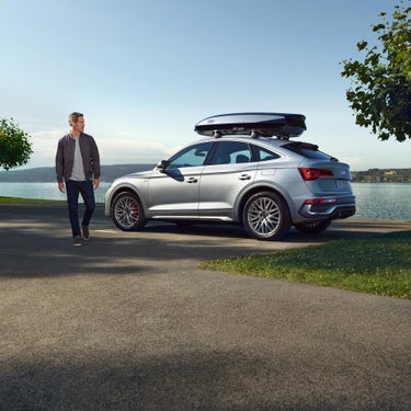 Foto del cambio de batería original Audi. 