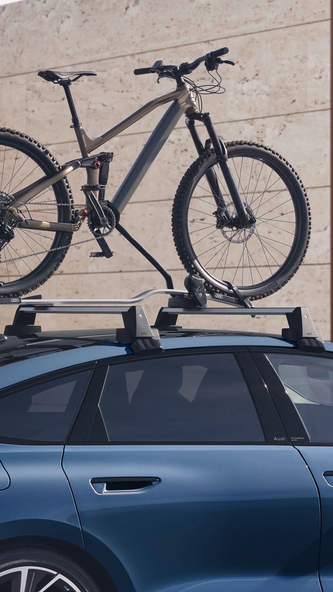 Bicicletta caricata su portabici da tetto