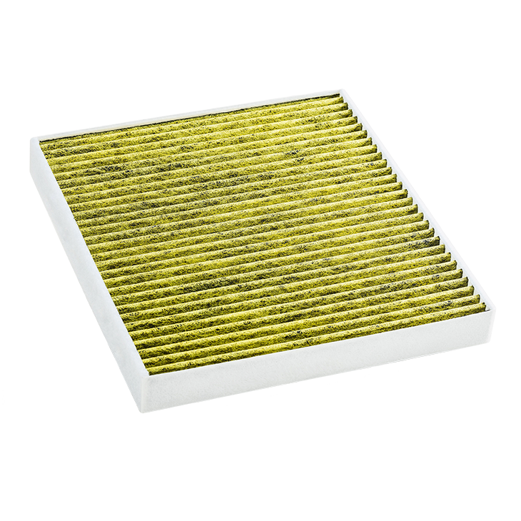 Φίλτρο αλλεργιογόνων