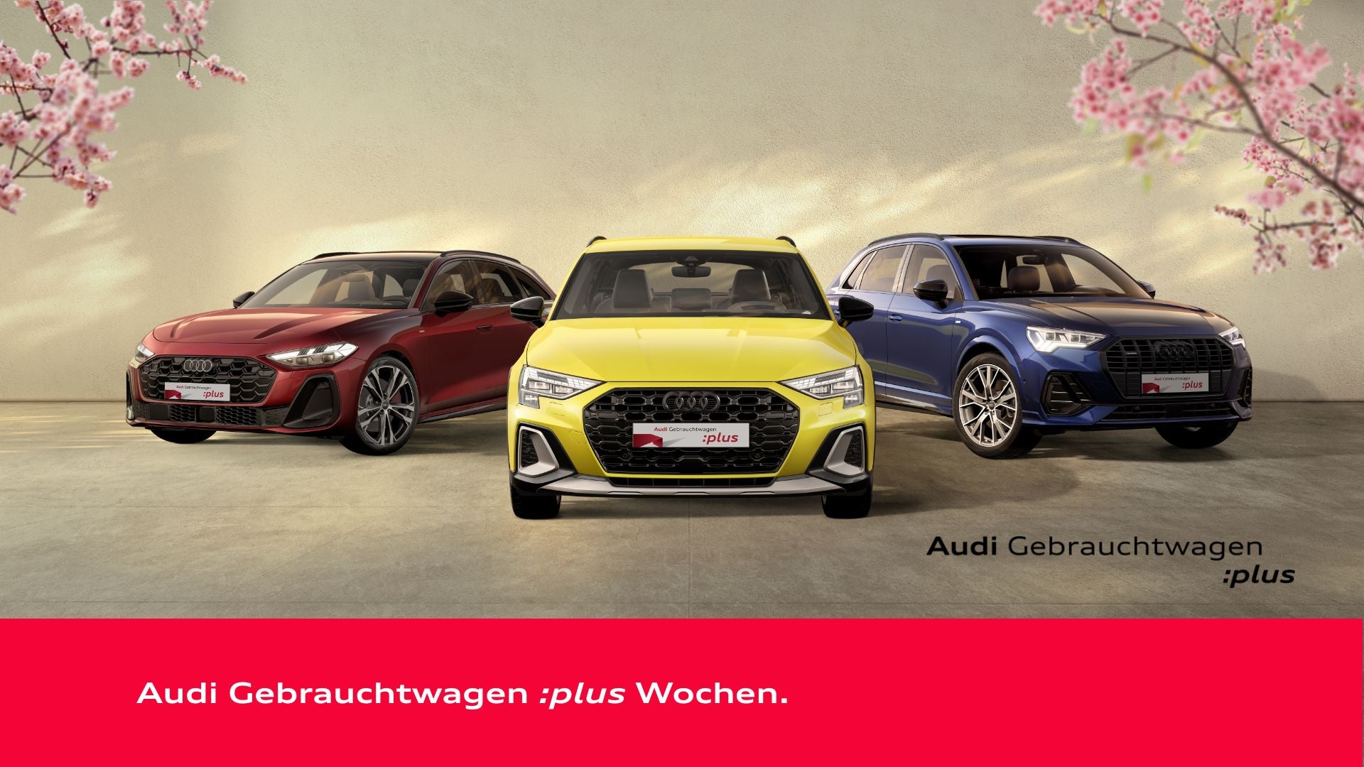 Drei Audi-Modelle in Rot, Schwarz und Weiß stehen nebeneinander vor Bergkulisse, darunter Schriftzug „Audi Gebrauchtwagen :plus“.