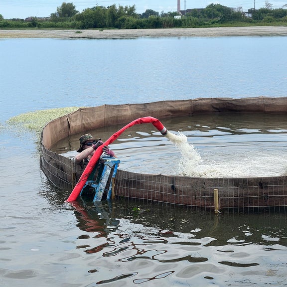 Person in waders holds a red hose pumping water into a circular basin.