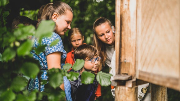 Children explore a beehive