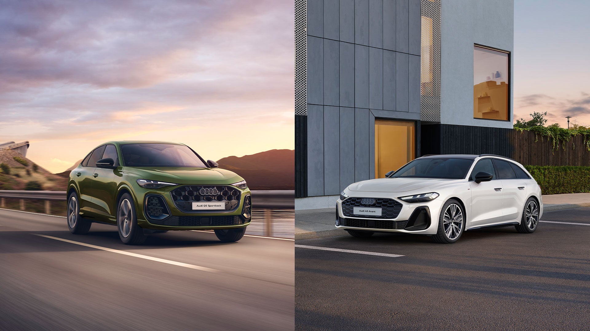 Q5とA5の走行する様子