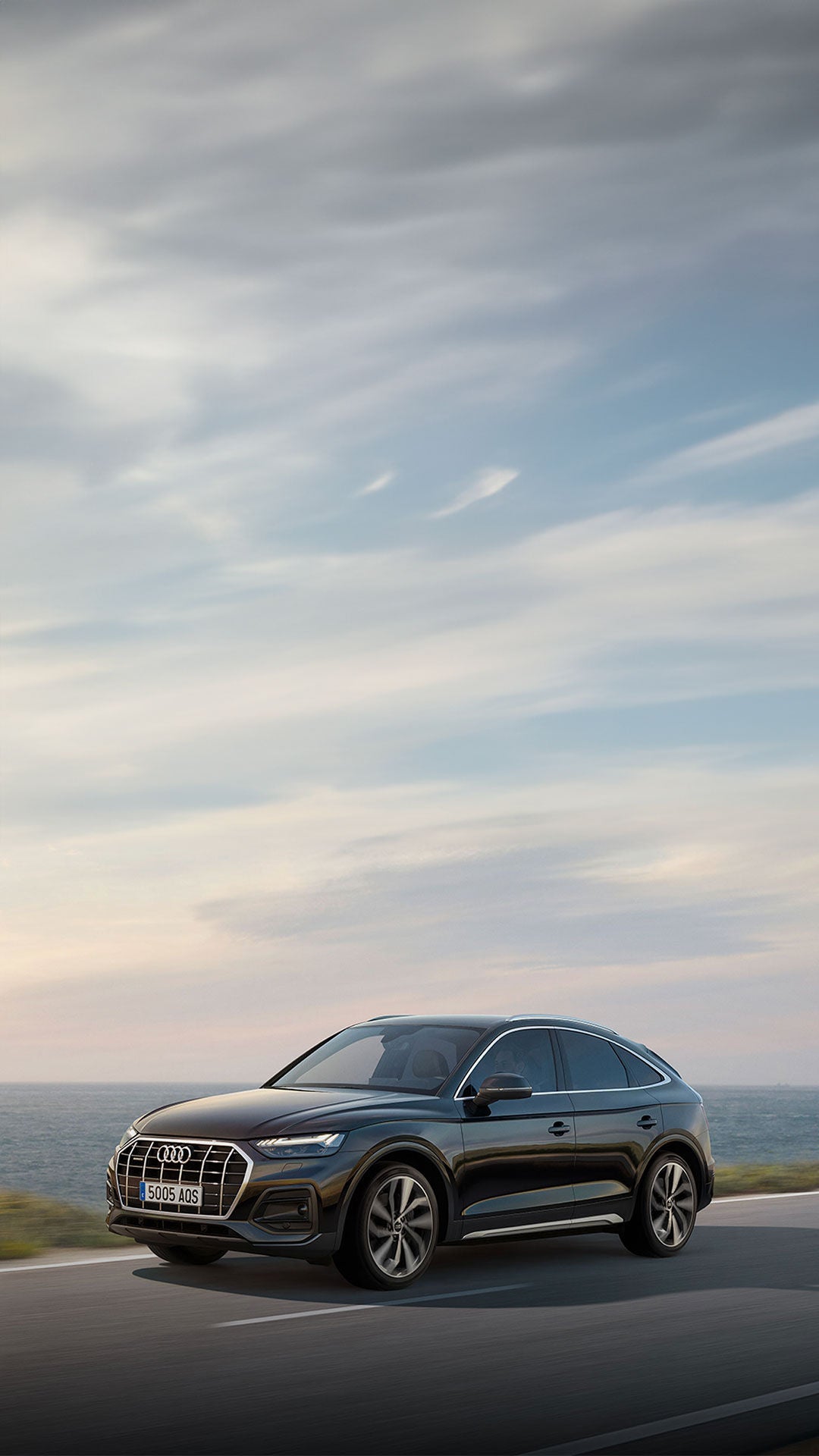 Foto de los Botones de Asistencia Audi Service para emergencias y asistencia en carretera. 