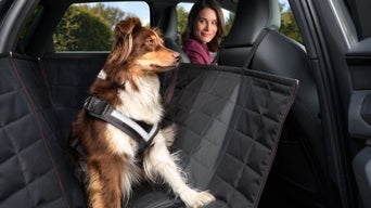 Προστασία και ασφάλεια