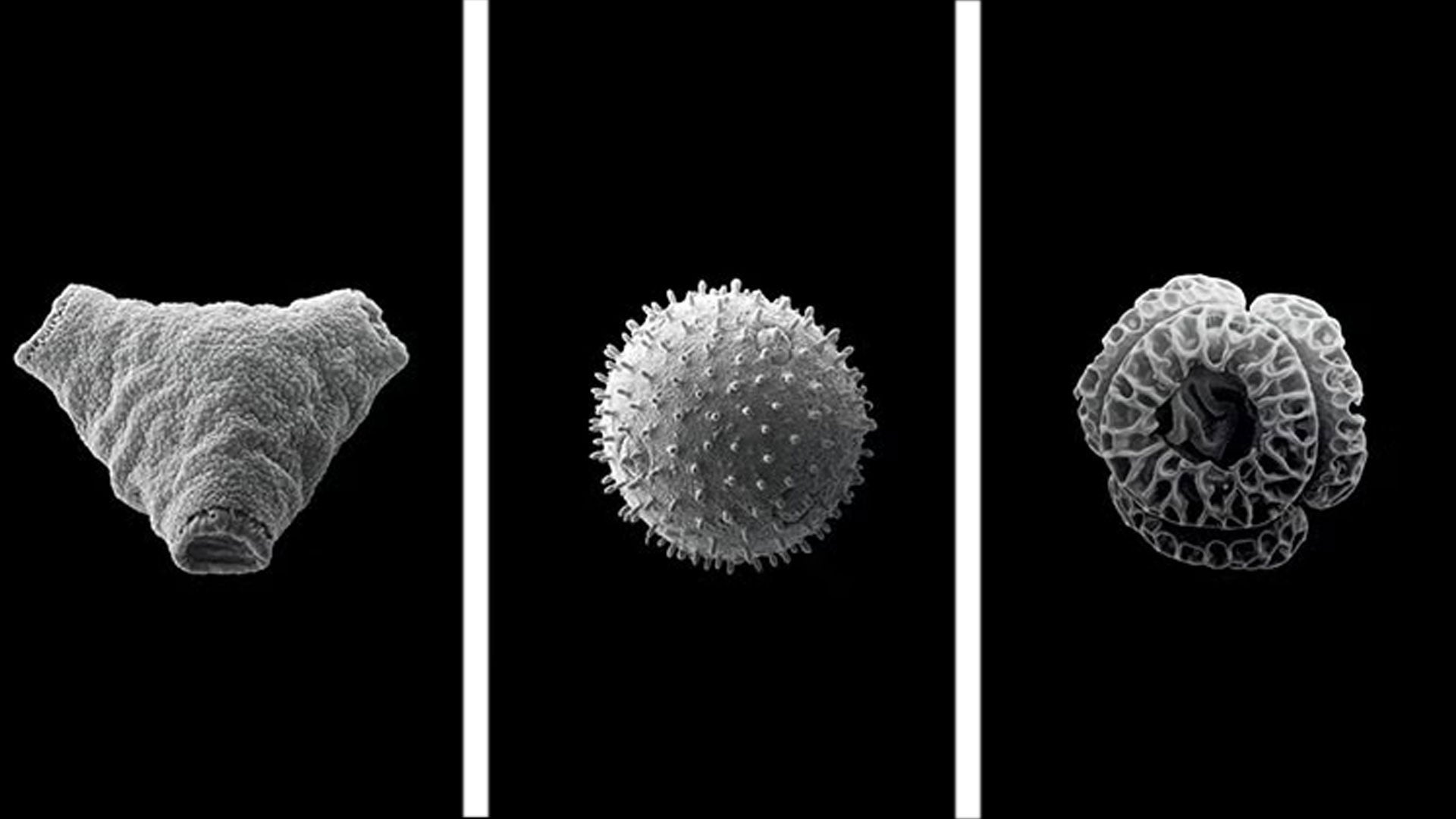 目に見えない場所に潜む、カビやバクテリア。