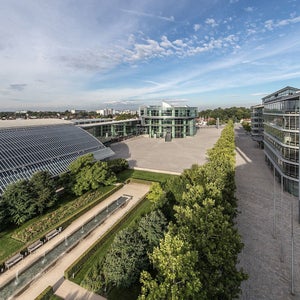 Blick auf moderne Gebäude mit Glasfassaden, breitem Vorplatz und begrüntem Bereich bei Tageslicht.