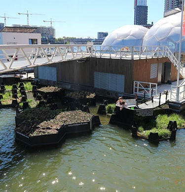 Floating park in the Rotterdam harbor basin