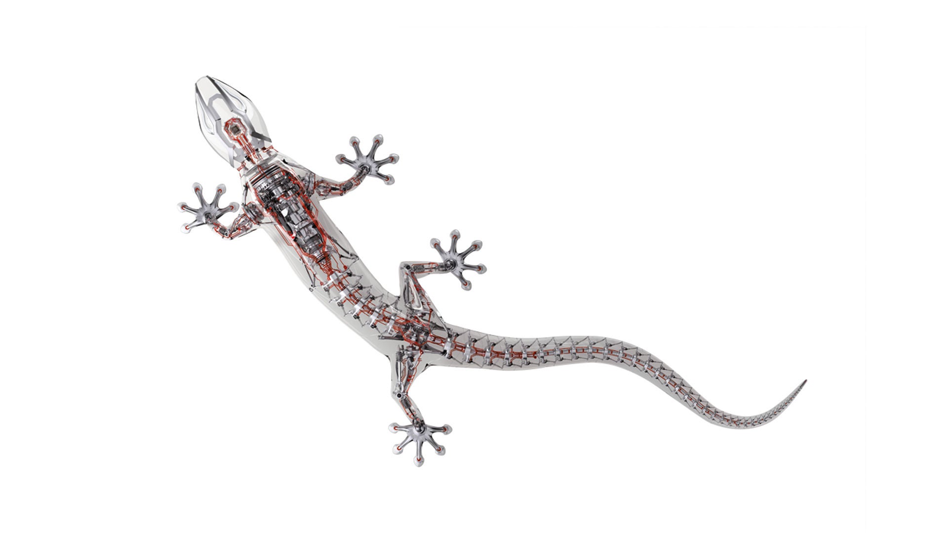 quattro nelivedon tekniikka