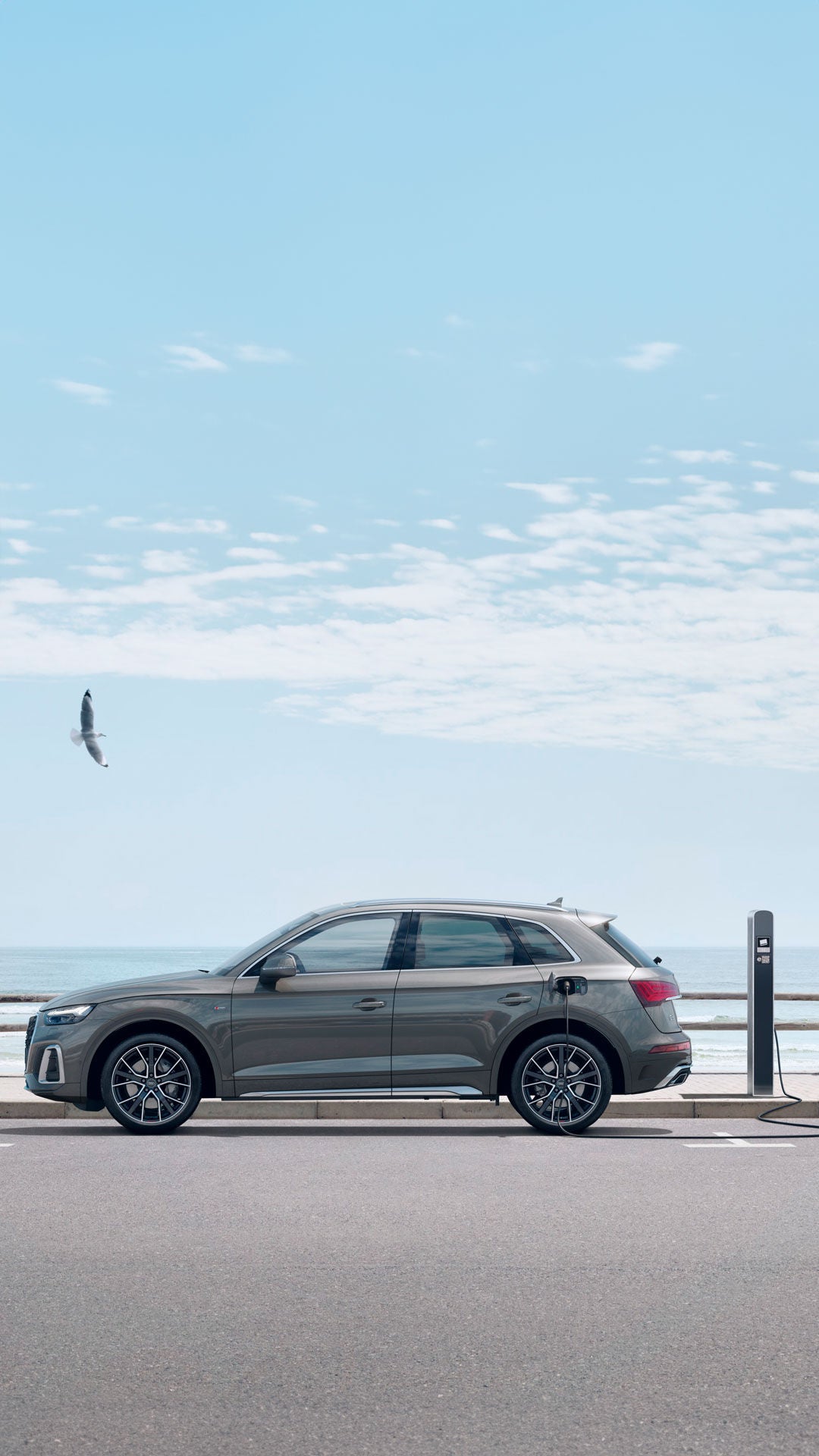 Foto de un Audi Q5 de ocasión, un Audi Q5 seminuevo o un Audi Q5 de segunda mano.