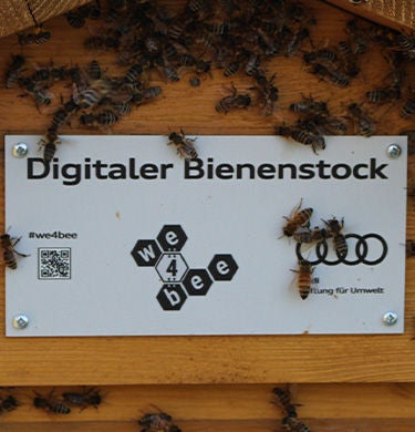 Bienenvolk auf einem Bienenstock