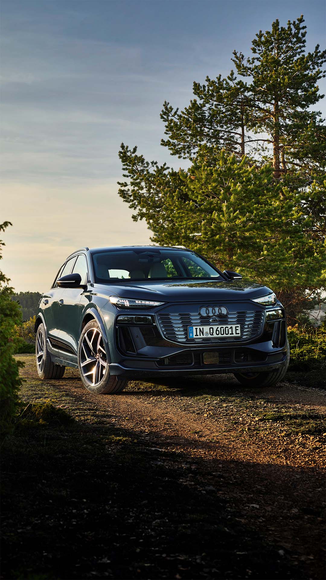 Audi Q6 e-tron quattro