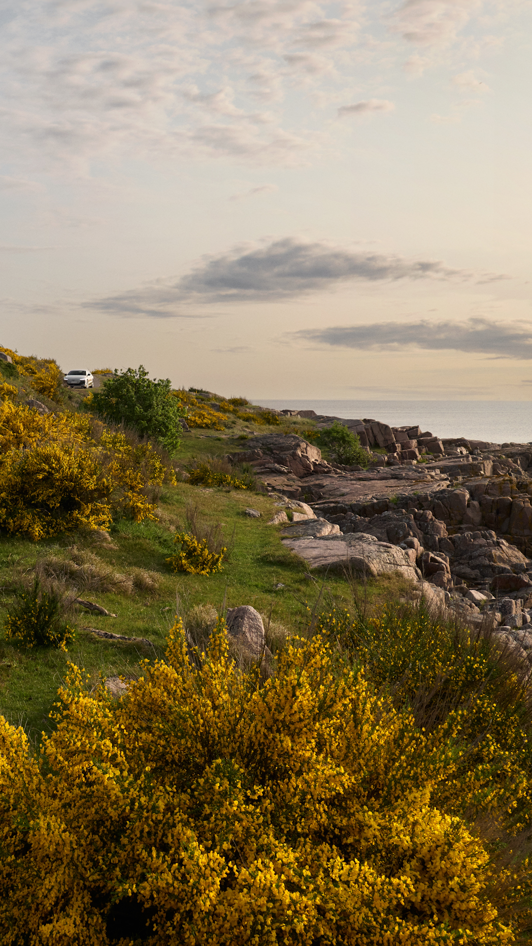 A6 e-tron Avant i skoven