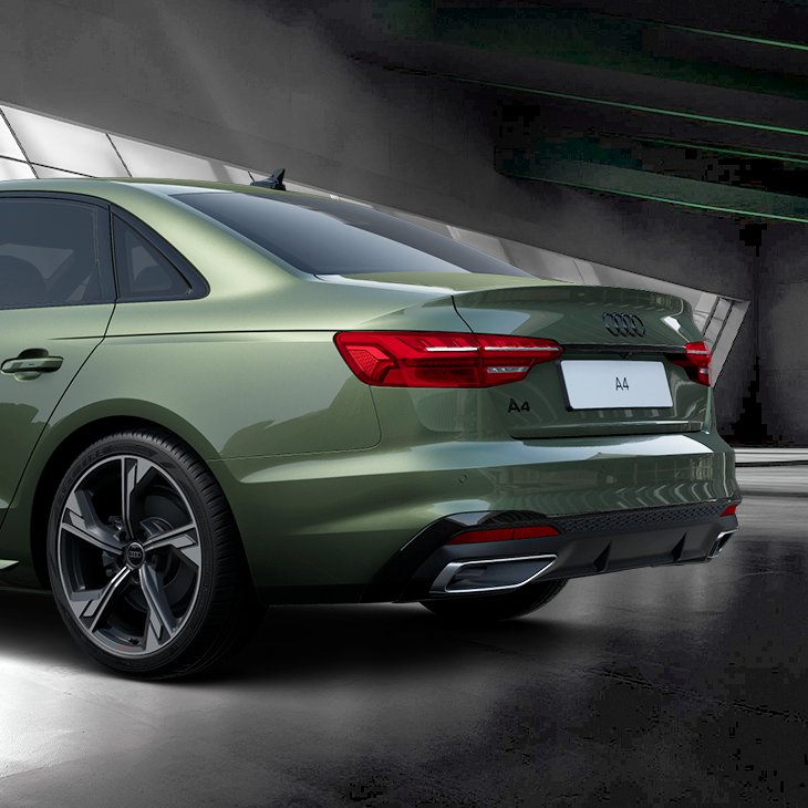 Delving into the model details