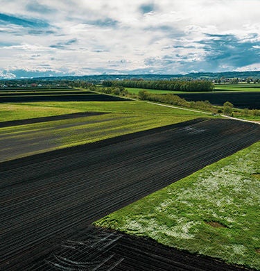 Agricultural area from above