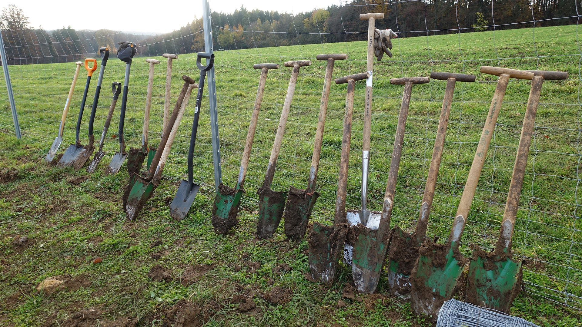 Shovels lined up leaning against a fence