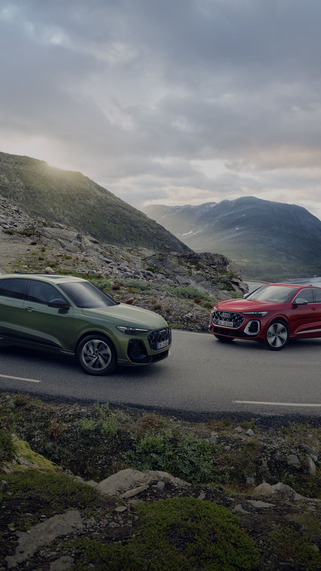 Two Audi vehicles, one green and one red, parked on a winding mountain road with a scenic valley in the background under a cloudy sky.