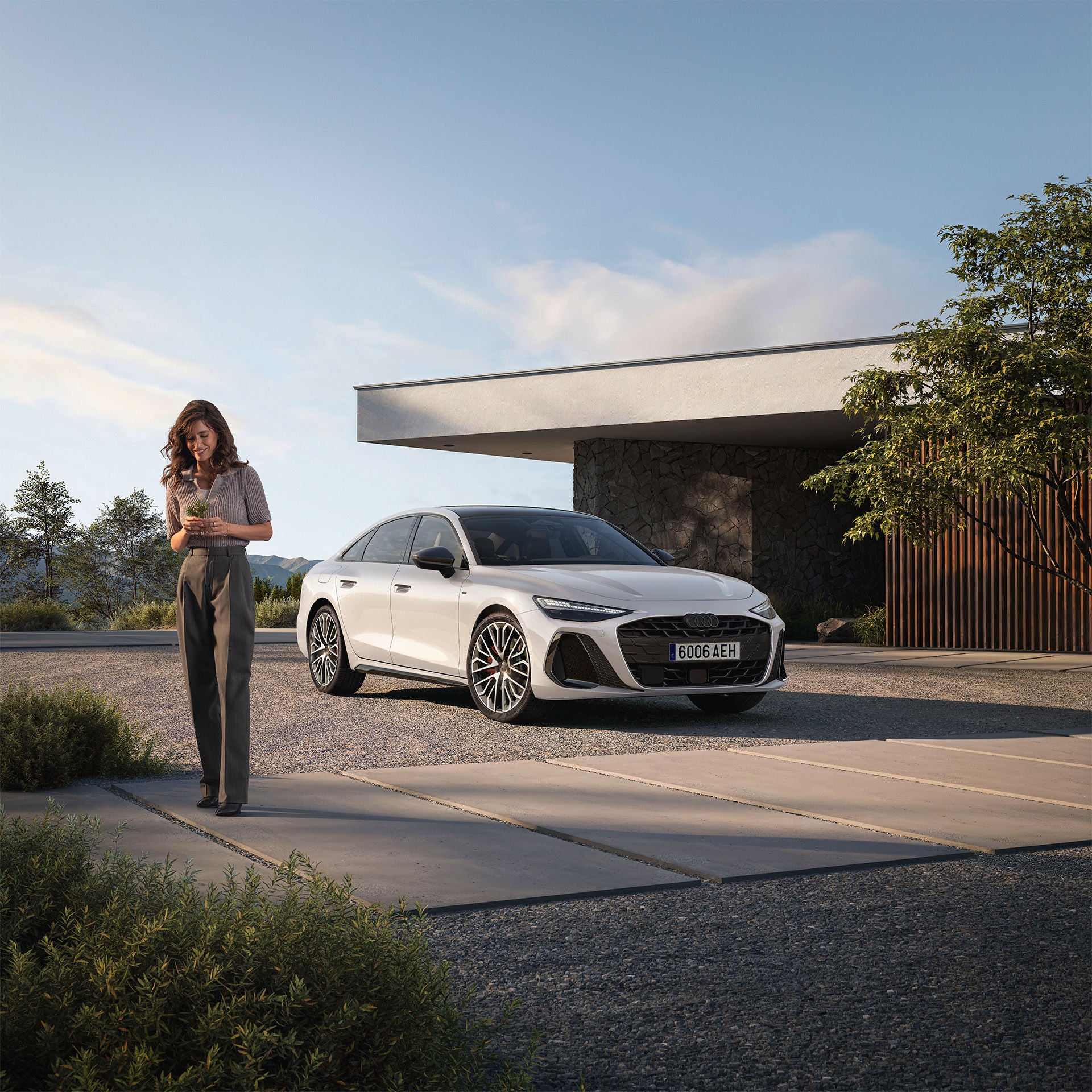 Foto de la oferta de renting para empresas de un Audi A6 e-hybrid. 