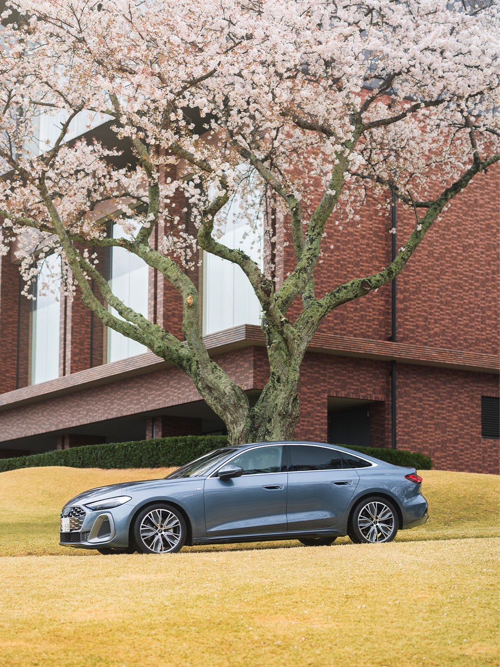 Audi A5 Sedan Gallery