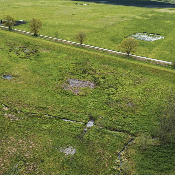 Aufnahme von einer Wiese