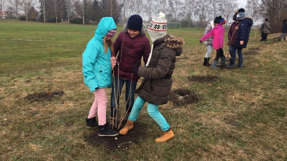 Obstgarten für Honigbienen bei der Aktion "Mehr Bienen für Karlshuld"