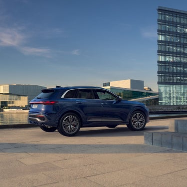 力強く均整の取れたプロポーション