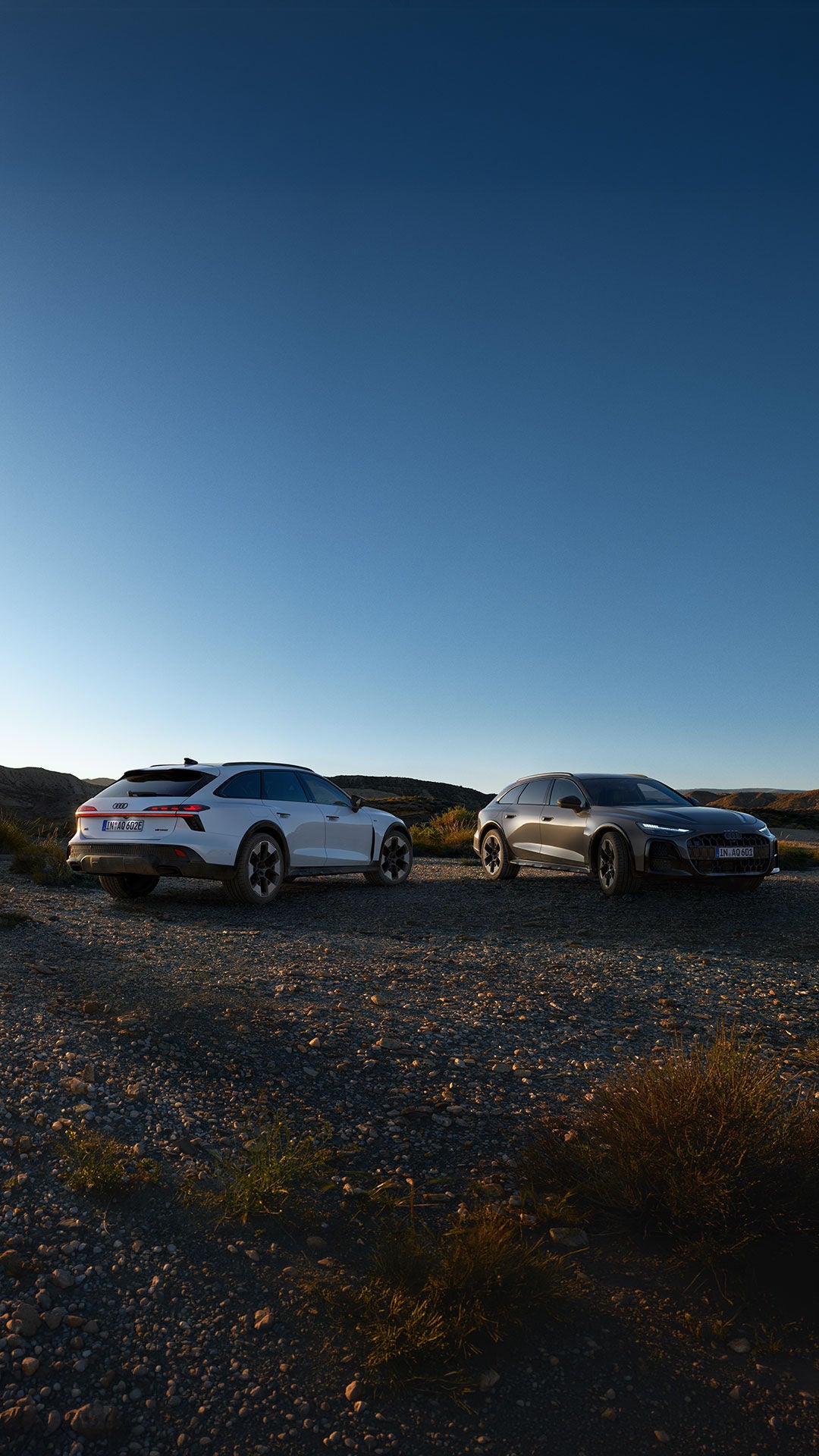 A6 e-hybrid and TDI parked in desert