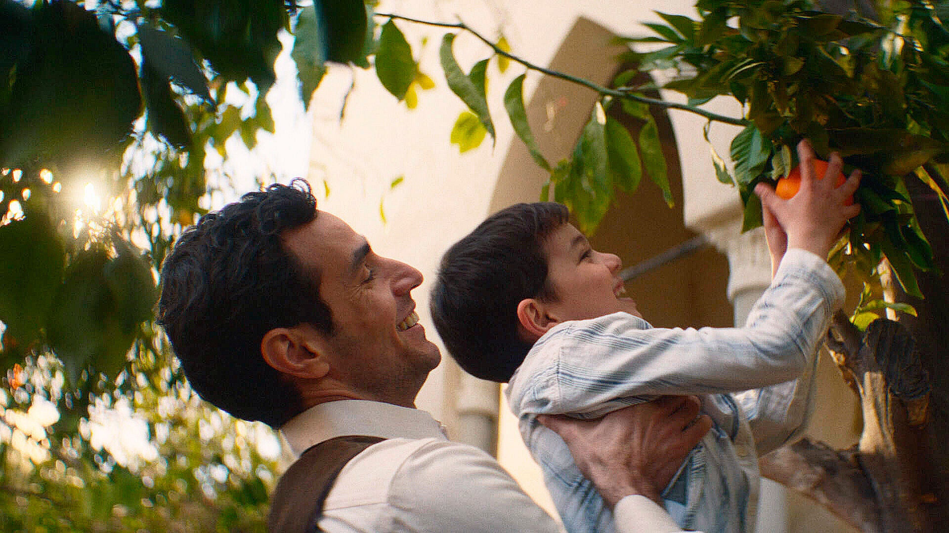 Noor hebt seinen kleinen Sohn hoch, damit der eine Orange pflücken kann.