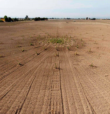 Wasteland from above
