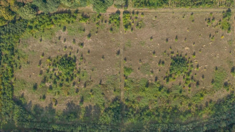 Aerial view of the Oak Forest Project Park La Hulpe