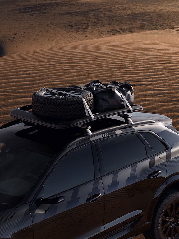 Audi Q8 e-tron roof basket