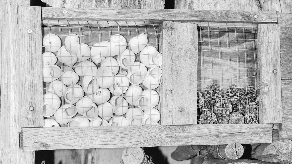 An insect hotel on the site in Münchsmünster. 