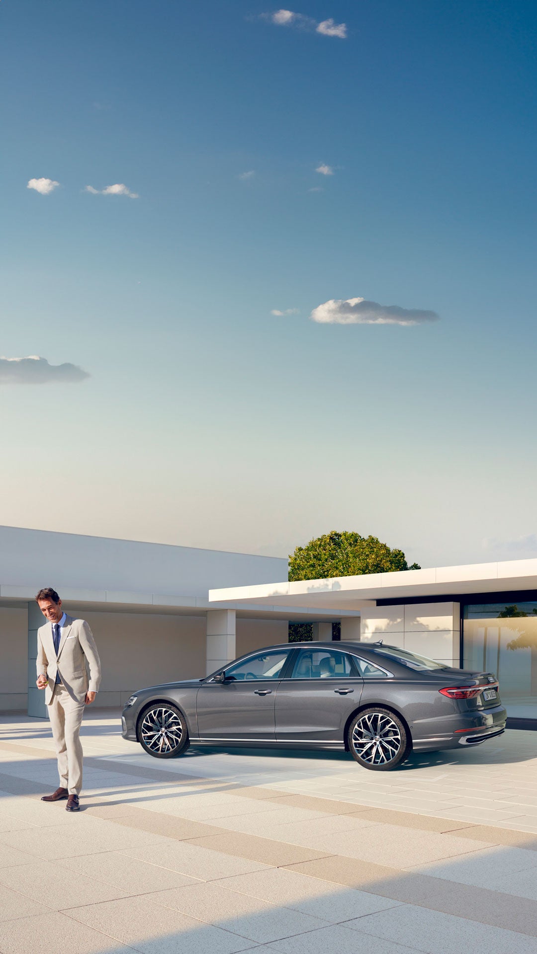 Foto de un Audi A8 de segunda mano o de ocasión en stock