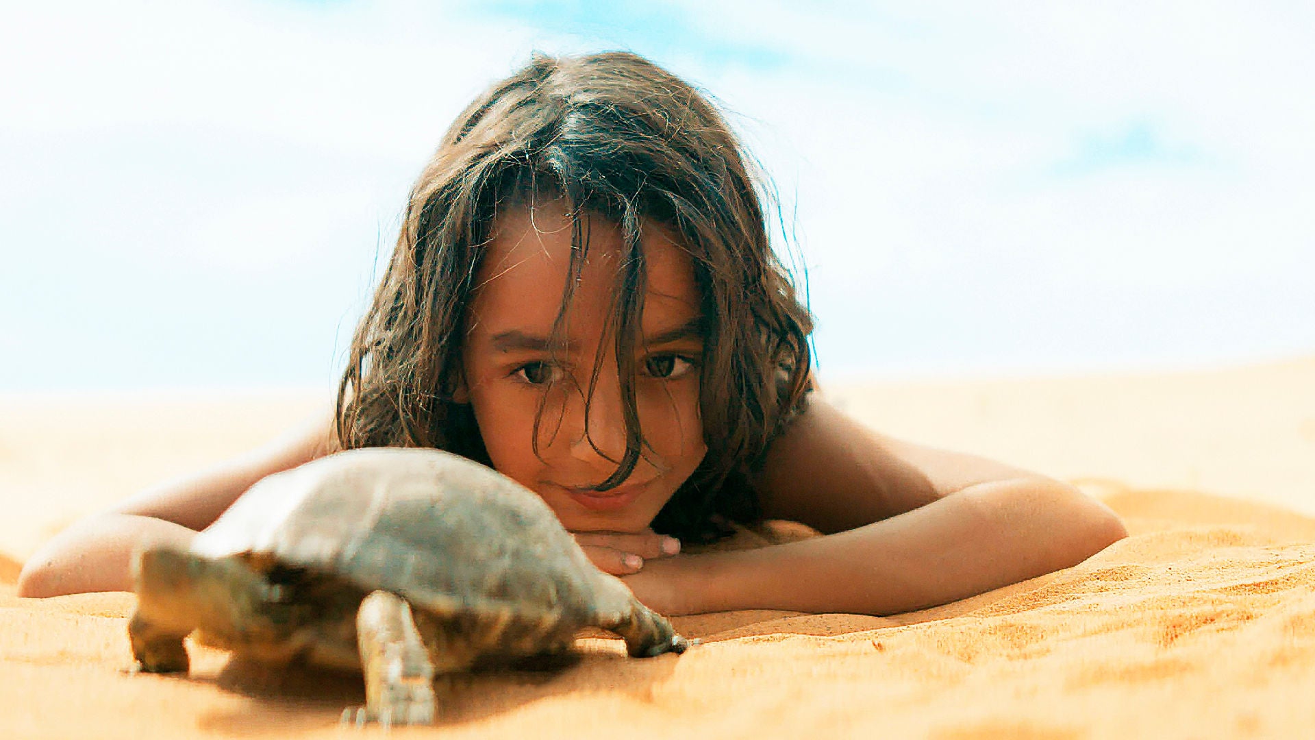 Der kleine Hadara liegt im Wüstensand und beobachtet eine Schildkröte.