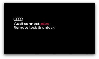 Remote lock & unlock